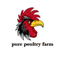 purepoultryfarm.com